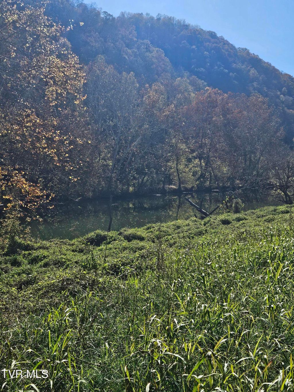 Photo of 0 Anglers Way Road, Duffield, VA 24244 (MLS # 9979535)