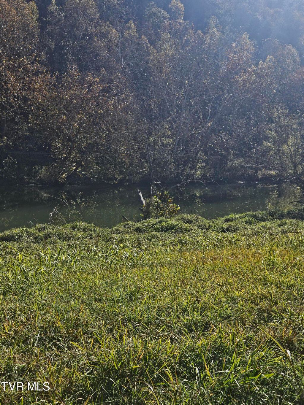 Photo of 0 Anglers Way Road, Duffield, VA 24244 (MLS # 9979535)