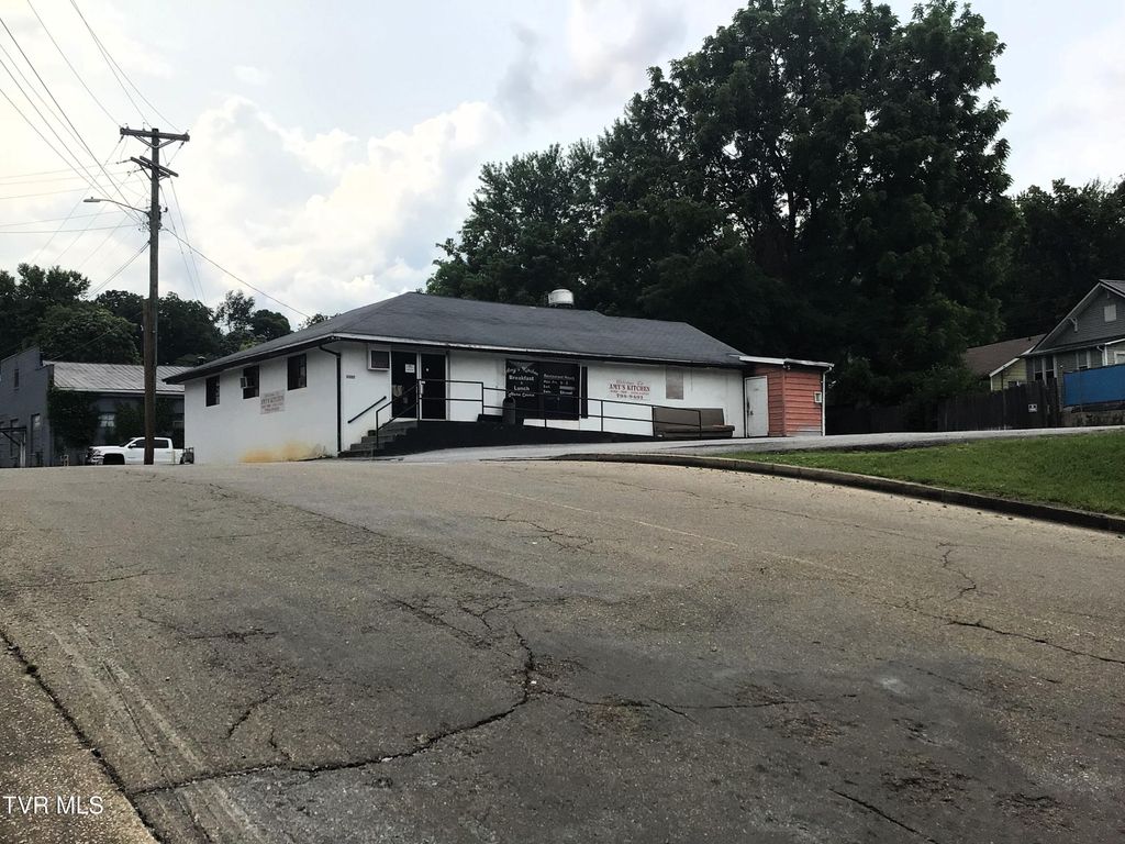 Photo of 102 Hardin Street, Greeneville, TN 37745 (MLS # 9981080)