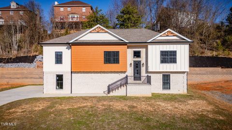 Photo of 4724 Sterling Lane, Kingsport, TN 37664 (MLS # 9995598)