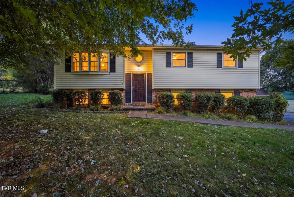 Photo of 529 Old Gray Station Road, Gray, TN 37615 (MLS # 10002201)