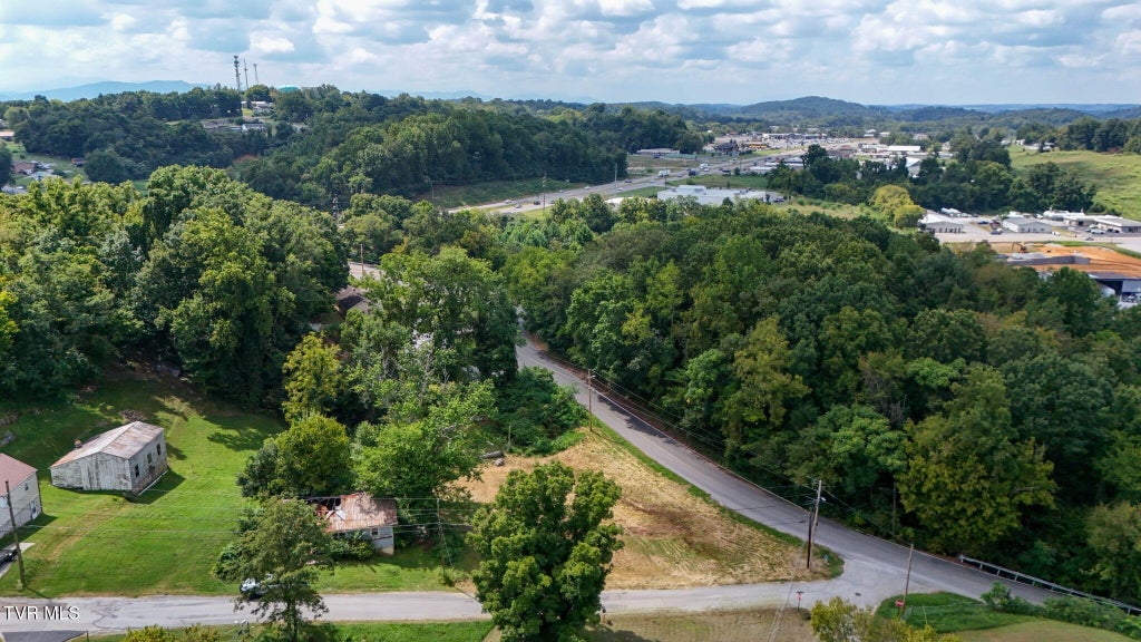 Photo of 311 Broyles Street, Greeneville, TN 37745 (MLS # 10000421)