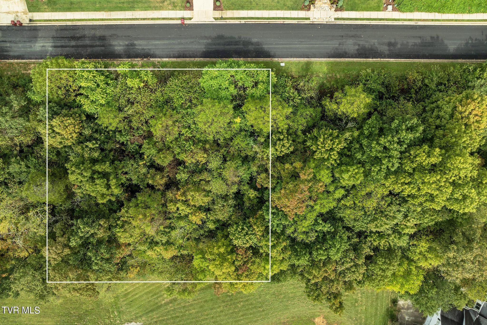 Lot 91 Ridgetop Drive, Johnson City, Tennessee image 1