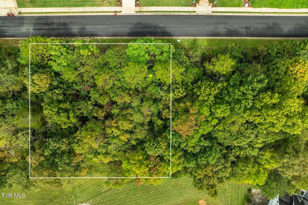 Photo of 91 Ridgetop Drive, Johnson City, TN 37615 (MLS # 9971745)