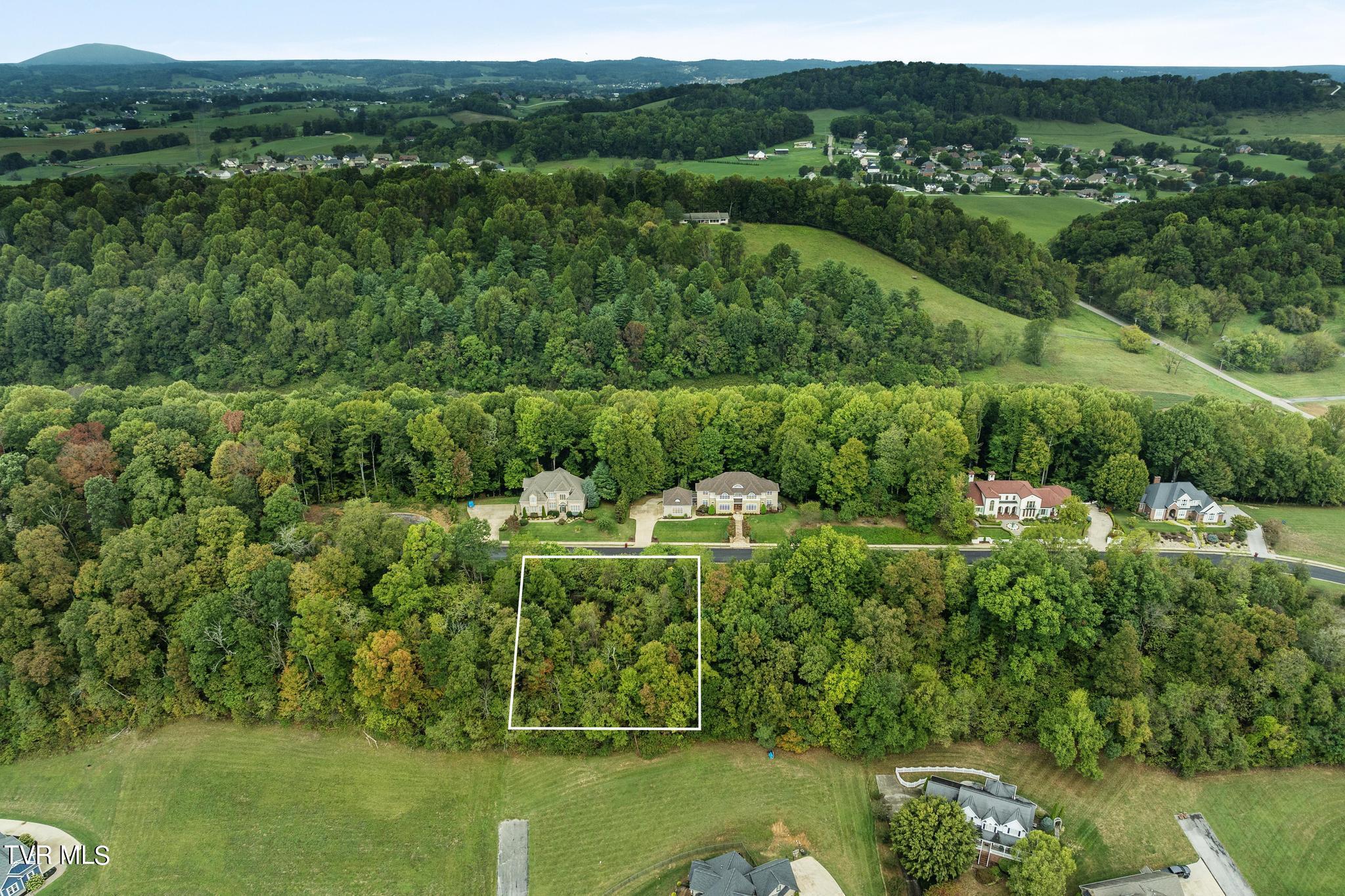 Lot 91 Ridgetop Drive, Johnson City, Tennessee image 2