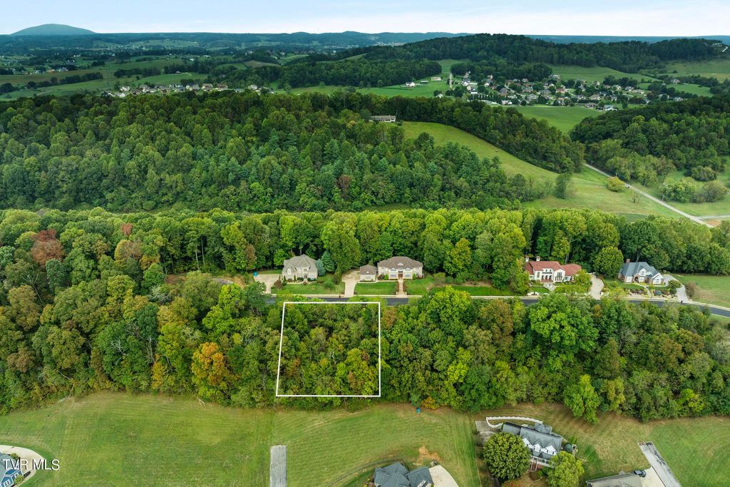 Photo of 91 Ridgetop Drive, Johnson City, TN 37615 (MLS # 9971745)