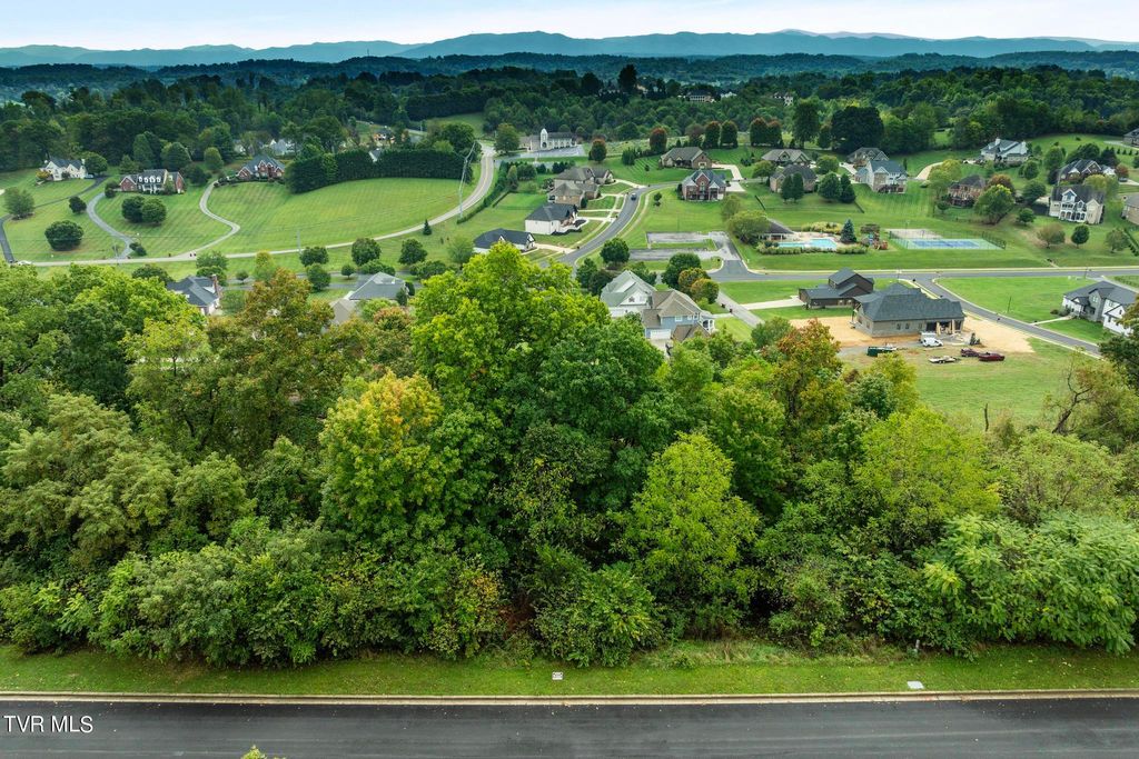 Photo of 91 Ridgetop Drive, Johnson City, TN 37615 (MLS # 9971745)