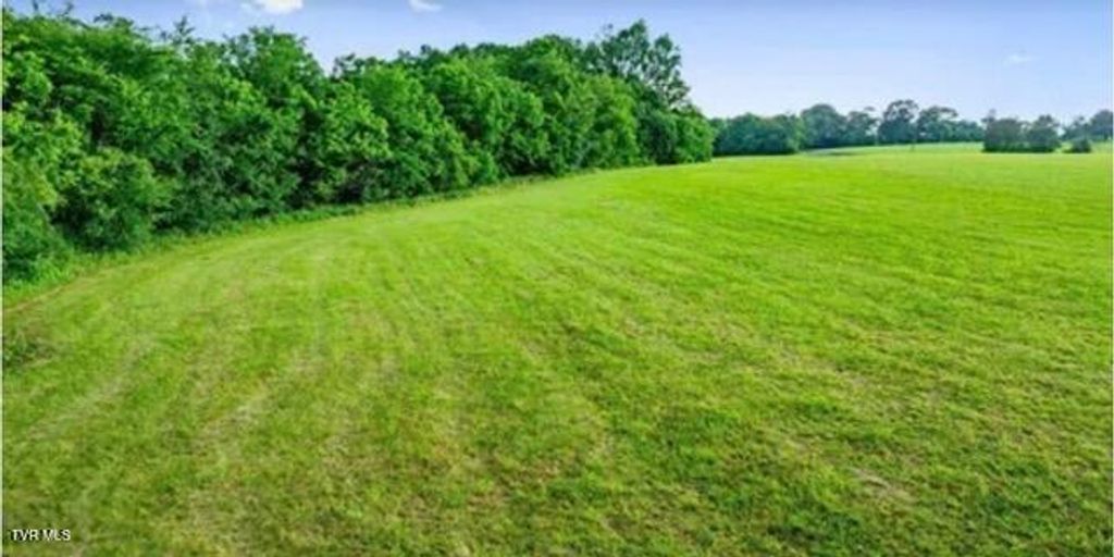Photo of 185 Lester Snapp Road #Lot 1, Limestone, TN 37681 (MLS # 9990500)
