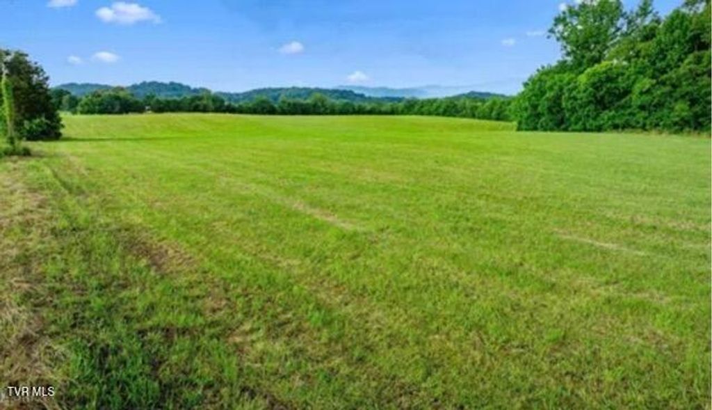 Photo of 185 Lester Snapp Road #Lot 1, Limestone, TN 37681 (MLS # 9990500)