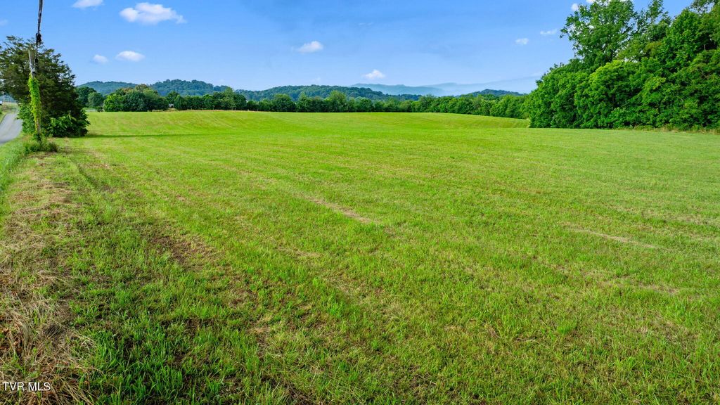 Photo of 185 Lester Snapp Road #Lot 1, Limestone, TN 37681 (MLS # 9990500)