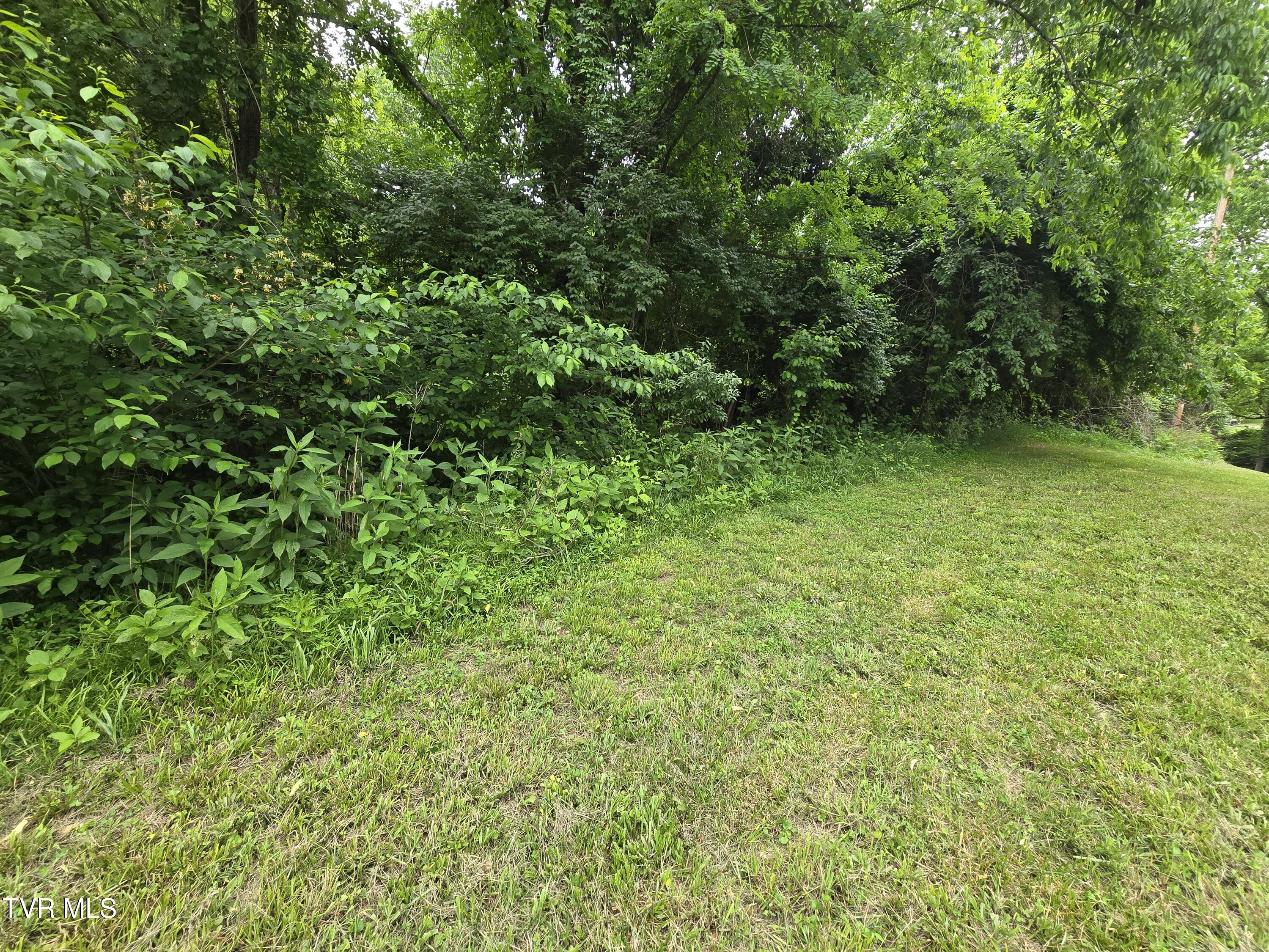 Tbd Clear Creek Road, Bristol, Virginia image 15