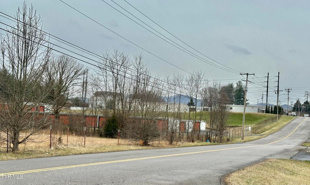 Photo of 109 L P Auer Road, Johnson City, TN 37604 (MLS # 9991614)