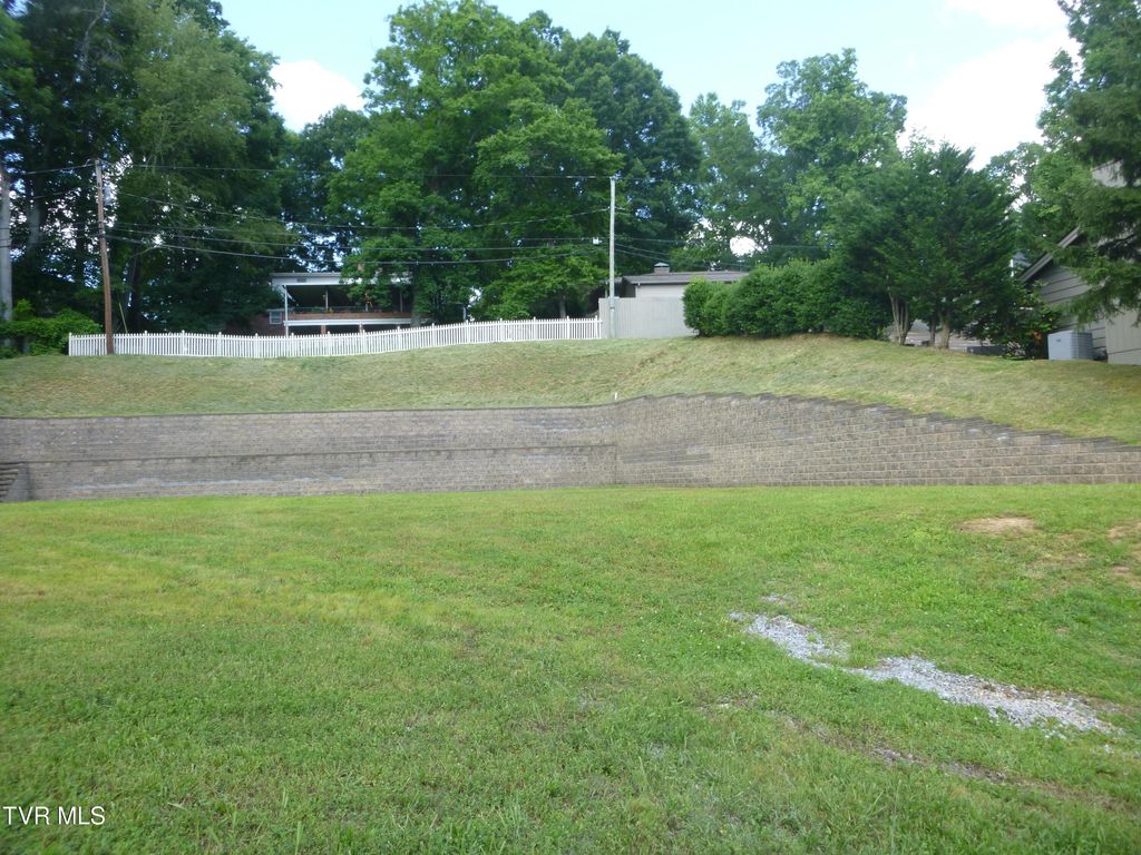 Photo of 1220 Radcliffe Avenue, Kingsport, TN 37664 (MLS # 9967129)