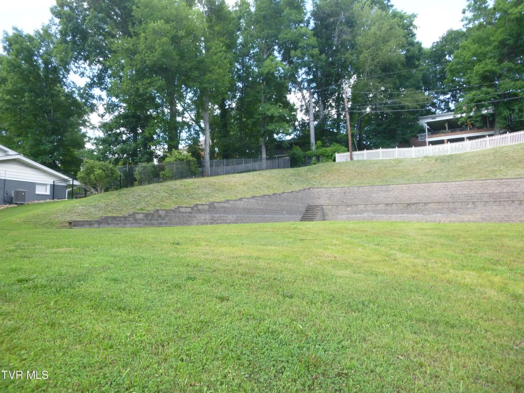 Photo of 1220 Radcliffe Avenue, Kingsport, TN 37664 (MLS # 9967129)