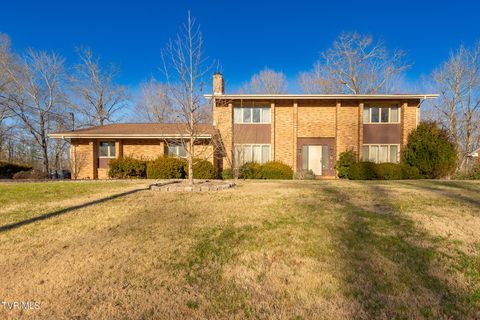 Photo of 2616 Suffolk Street, Kingsport, TN 37660 (MLS # 9990390)