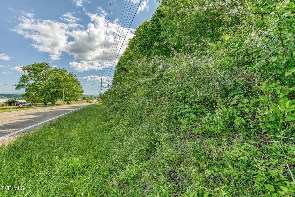 Photo of 1127 Tn-107, Jonesborough, TN 37659 (MLS # 9995065)