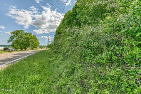 Photo of 1127 Tn-107, Jonesborough, TN 37659 (MLS # 9995065)