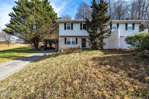 Photo of 512 Jena Beth Drive, Elizabethton, TN 37643 (MLS # 9990241)