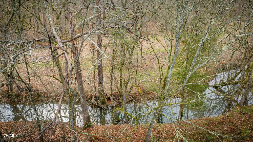 Photo of 987 TN-81, Jonesborough, TN 37659 (MLS # 9988908)