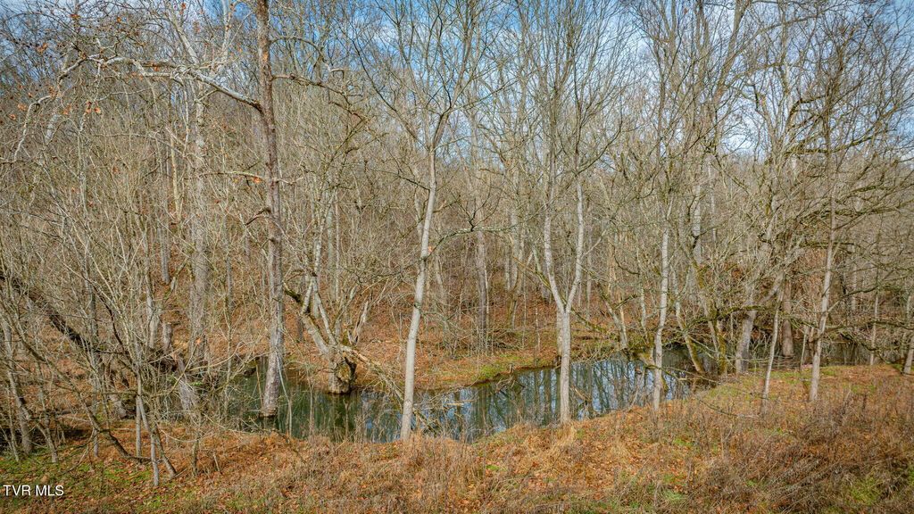 Photo of 987 TN-81, Jonesborough, TN 37659 (MLS # 9988908)
