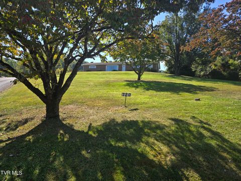 Photo of 720 Mohawk Drive, Erwin, TN 37650 (MLS # 9992563)