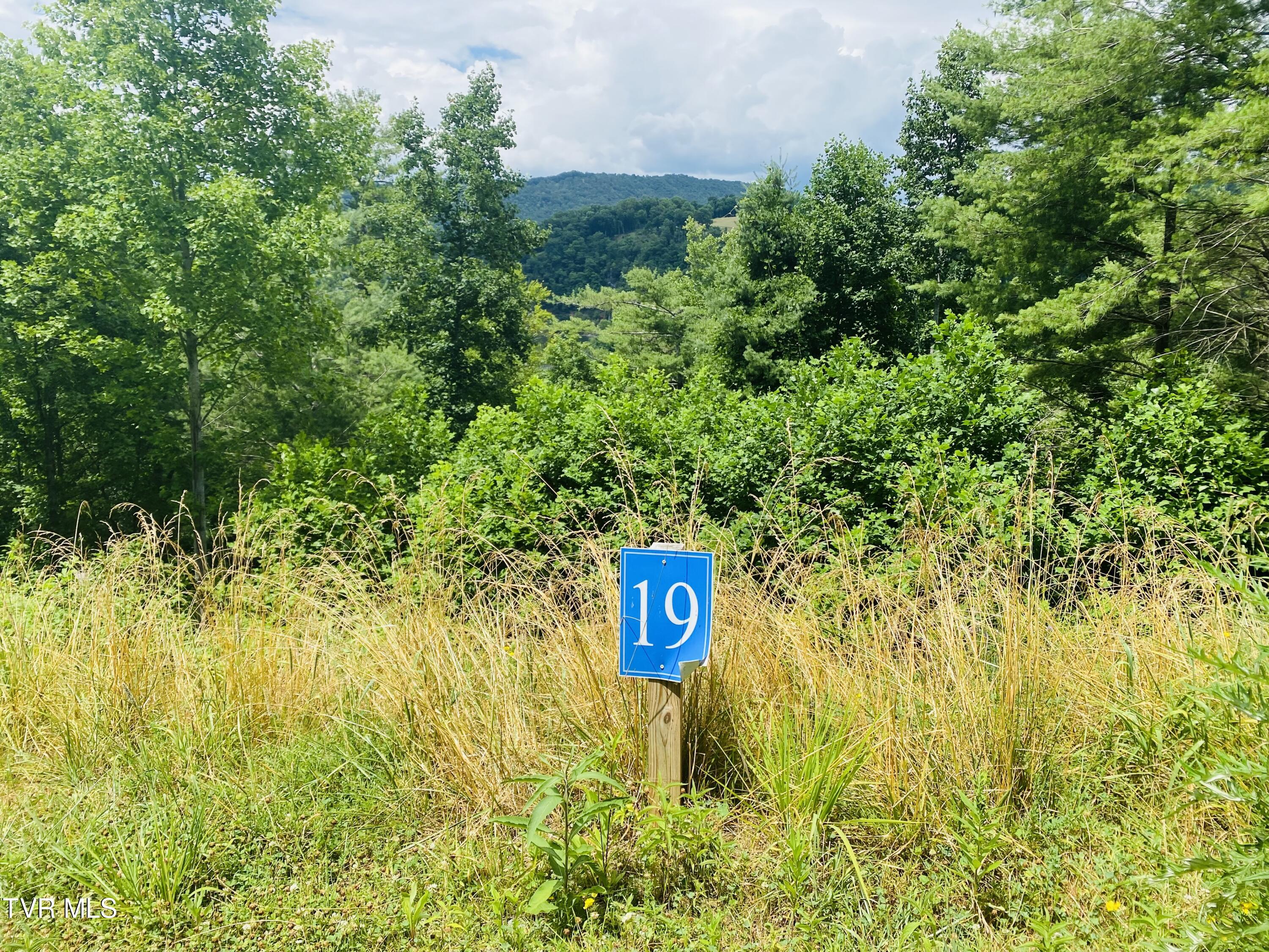 19 Cowan Town Road, Butler, Tennessee image 1