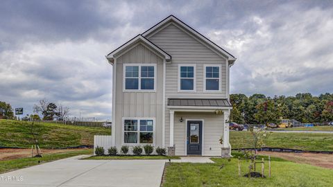 Photo of 4306 Gambrel Oaks Street, Blountville, TN 37617 (MLS # 9988255)