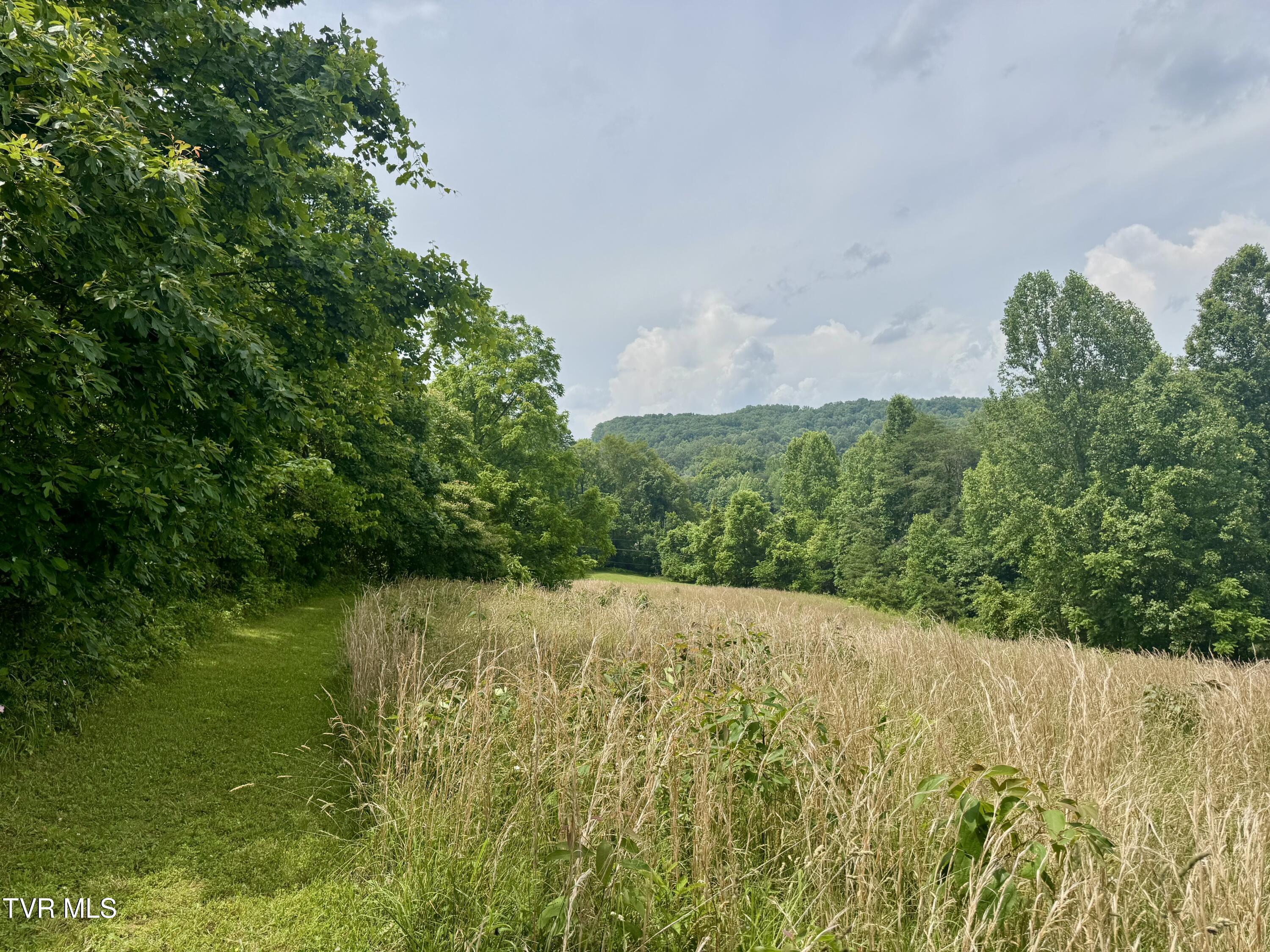 Lot 2 Country Drive, Kingsport, Tennessee image 4