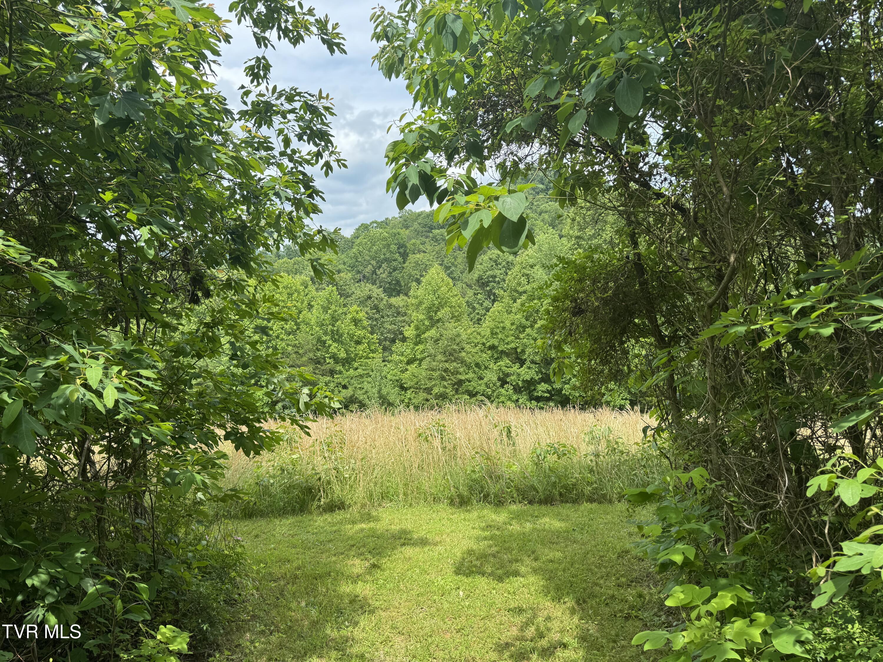Lot 2 Country Drive, Kingsport, Tennessee image 2