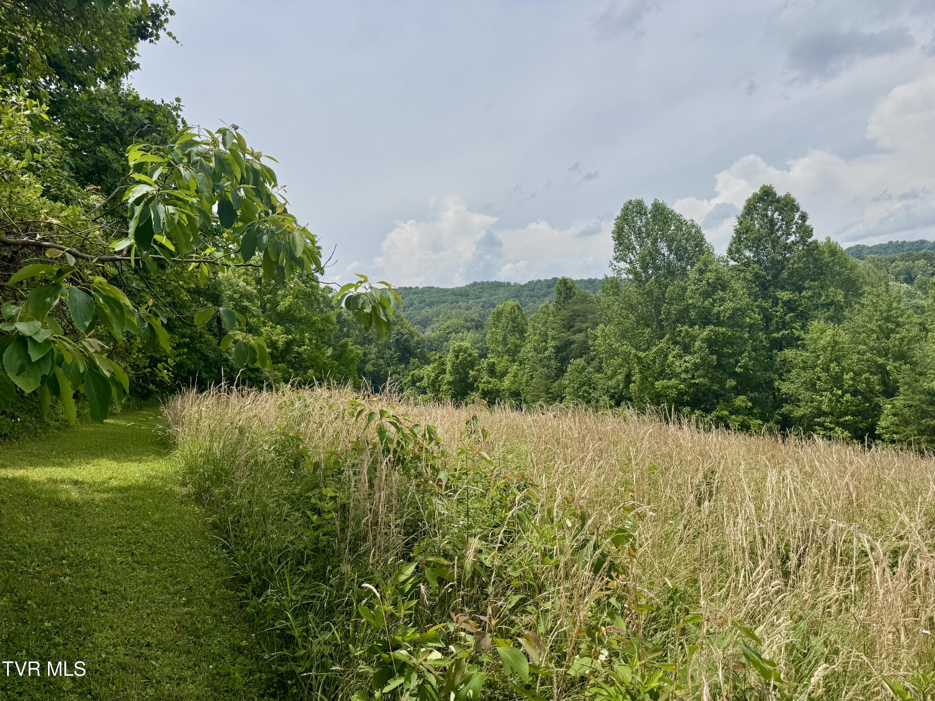 Lot 2 Country Drive, Kingsport, Tennessee image 7