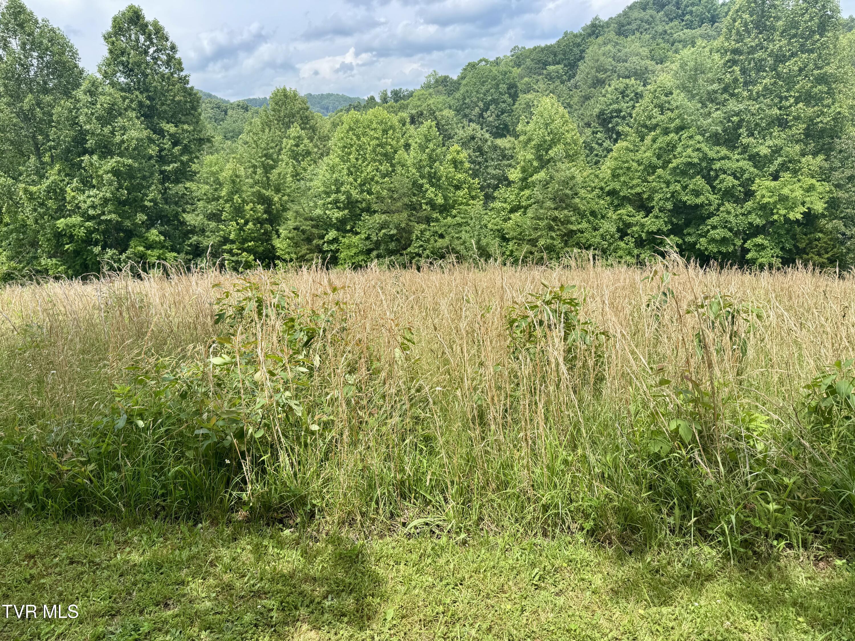 Lot 2 Country Drive, Kingsport, Tennessee image 8