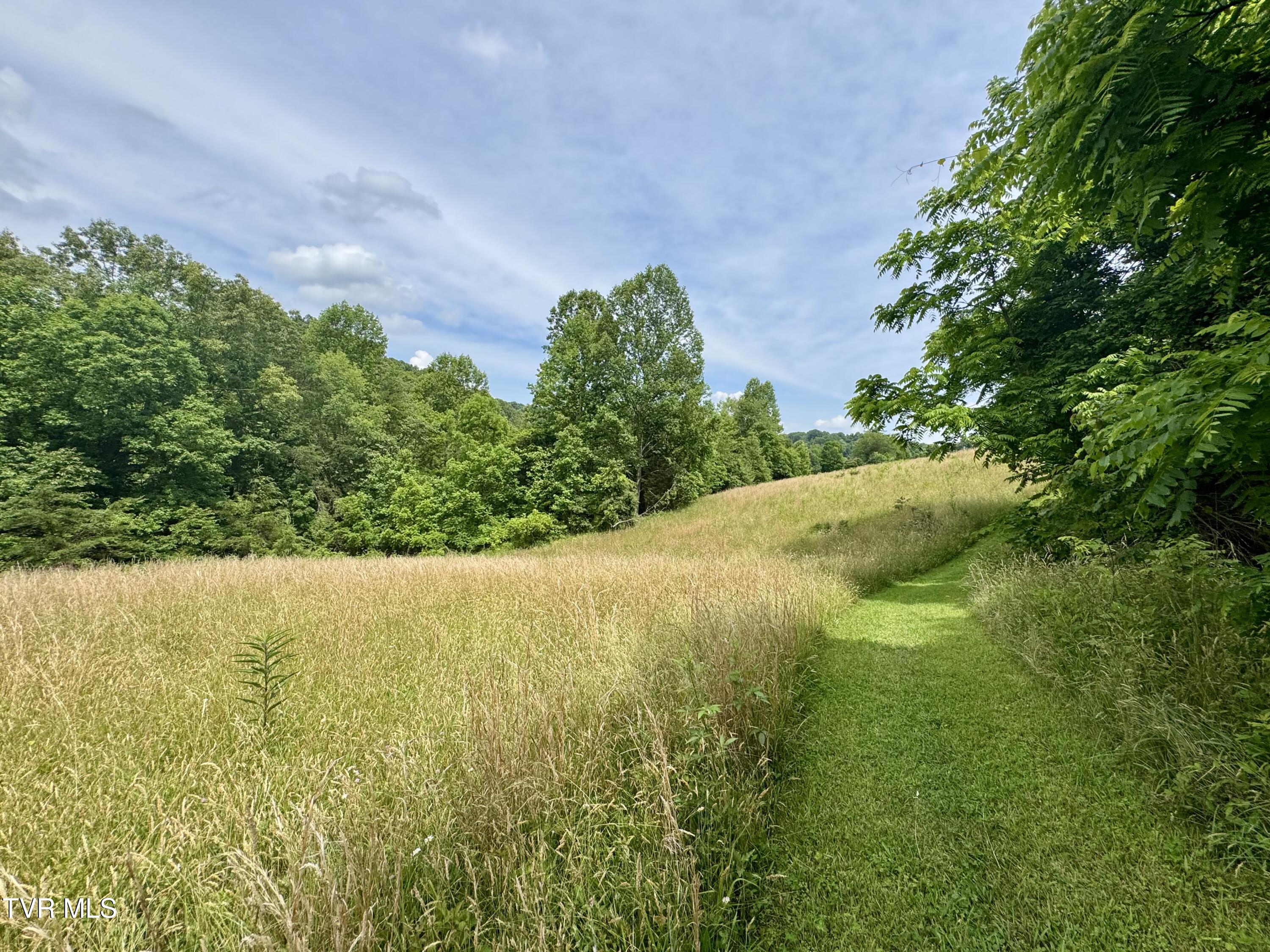 Lot 2 Country Drive, Kingsport, Tennessee image 10