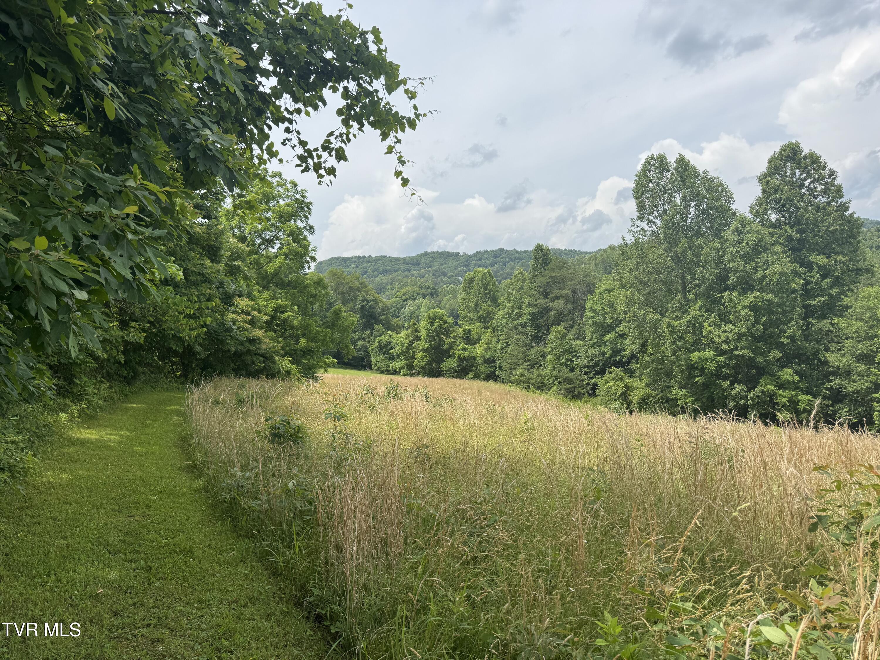Lot 2 Country Drive, Kingsport, Tennessee image 3