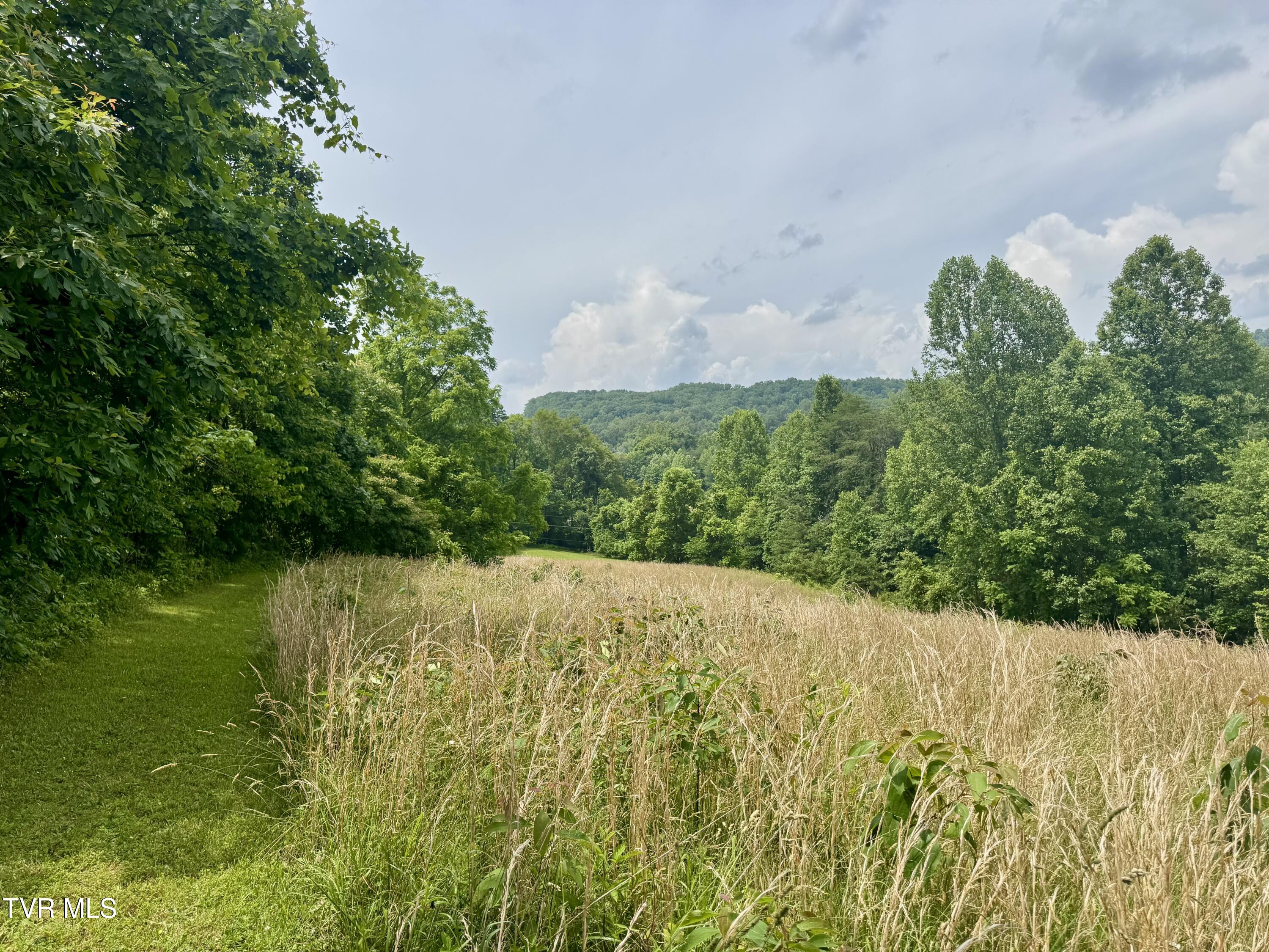 Lot 2 Country Drive, Kingsport, Tennessee image 5