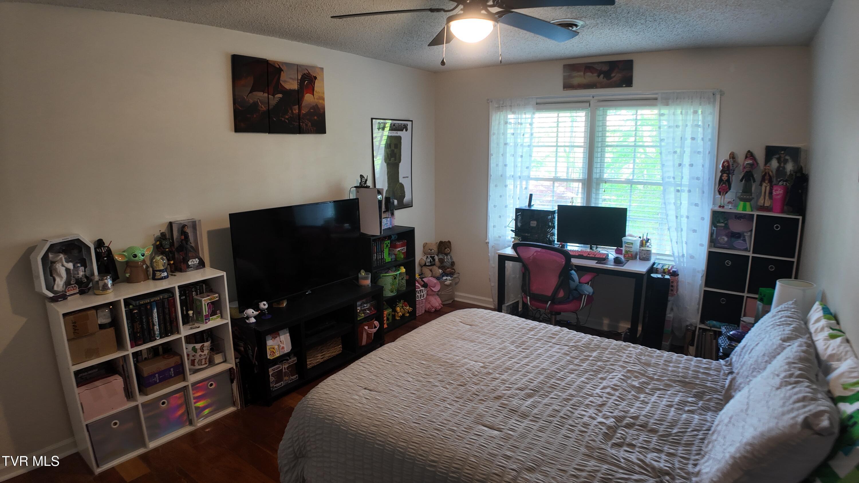 4 Willmar Circle, Johnson City, Tennessee image 29