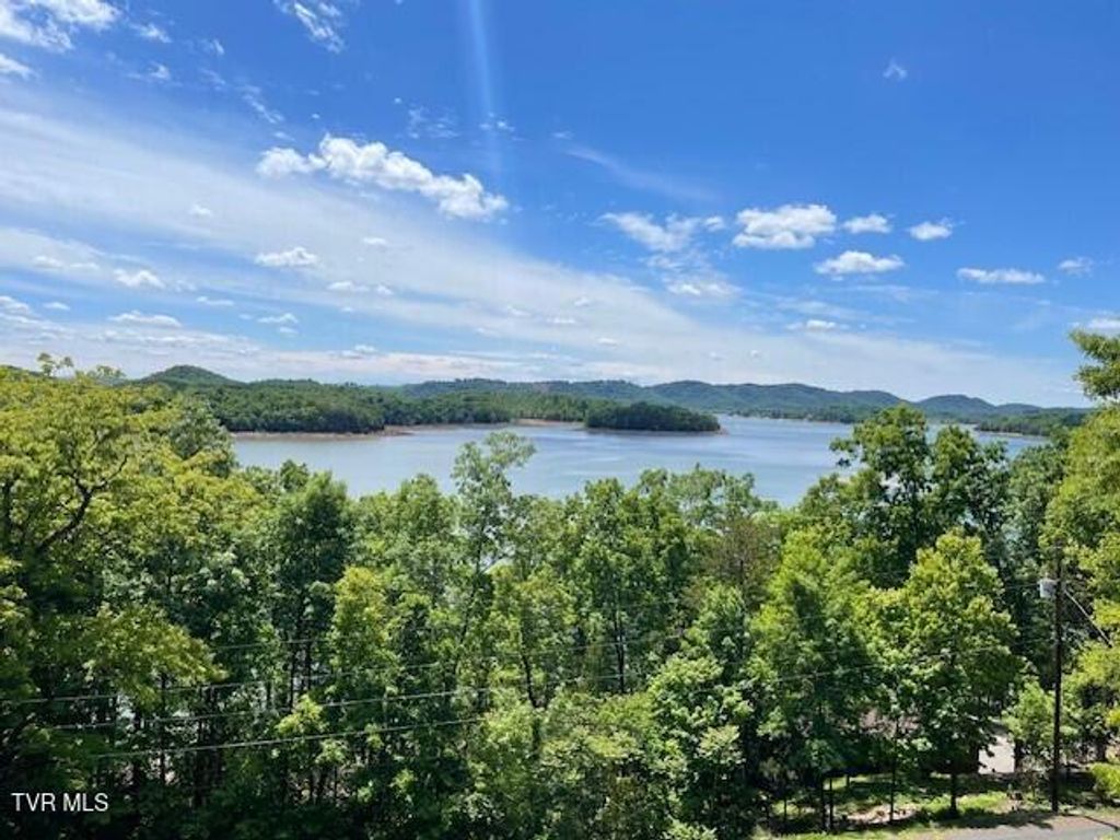 Photo of 1540 Rugged Range Road, Bean Station, TN 37708 (MLS # 9995206)