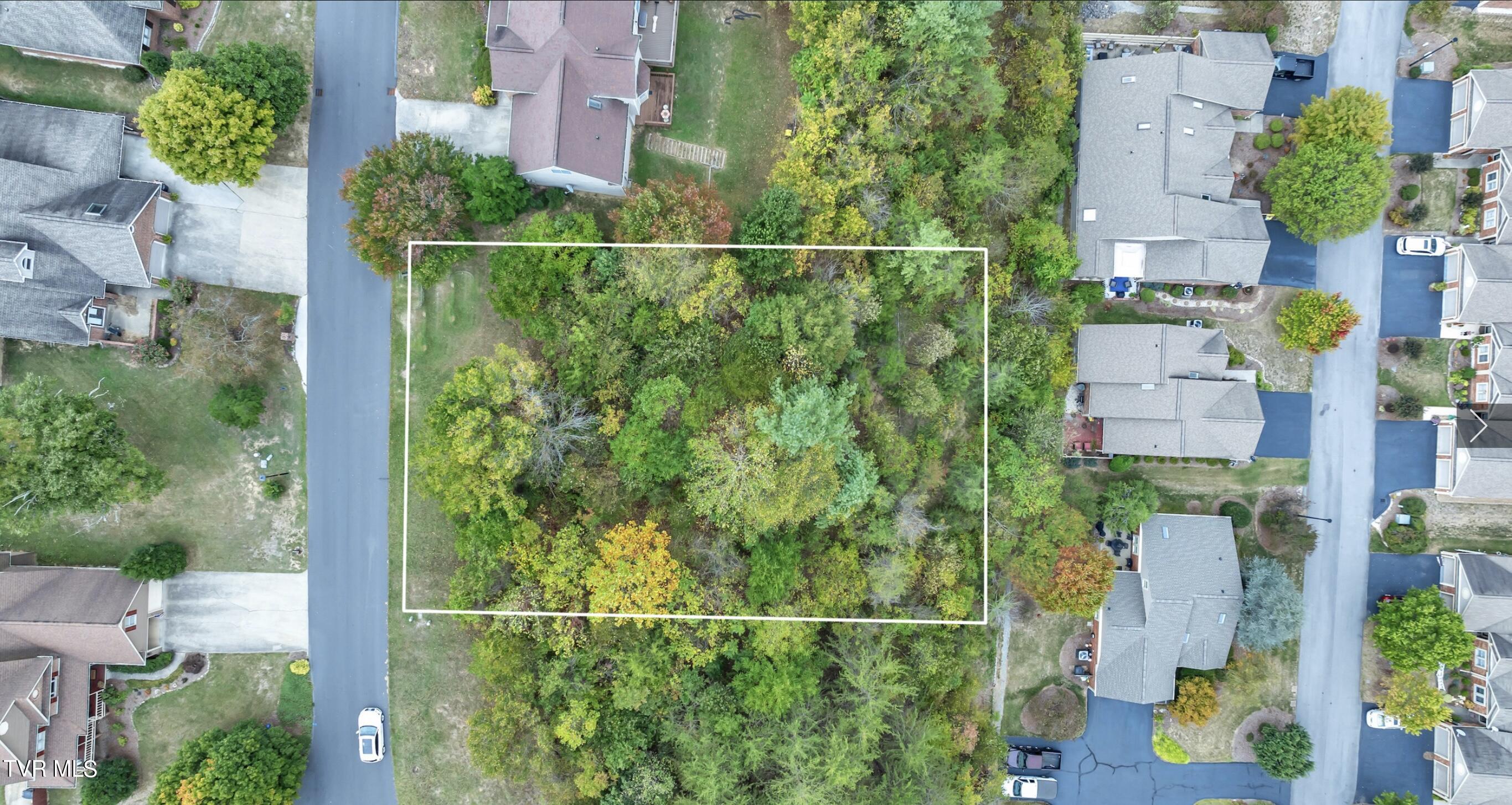 . Laurelwood Drive, Kingsport, Tennessee image 1