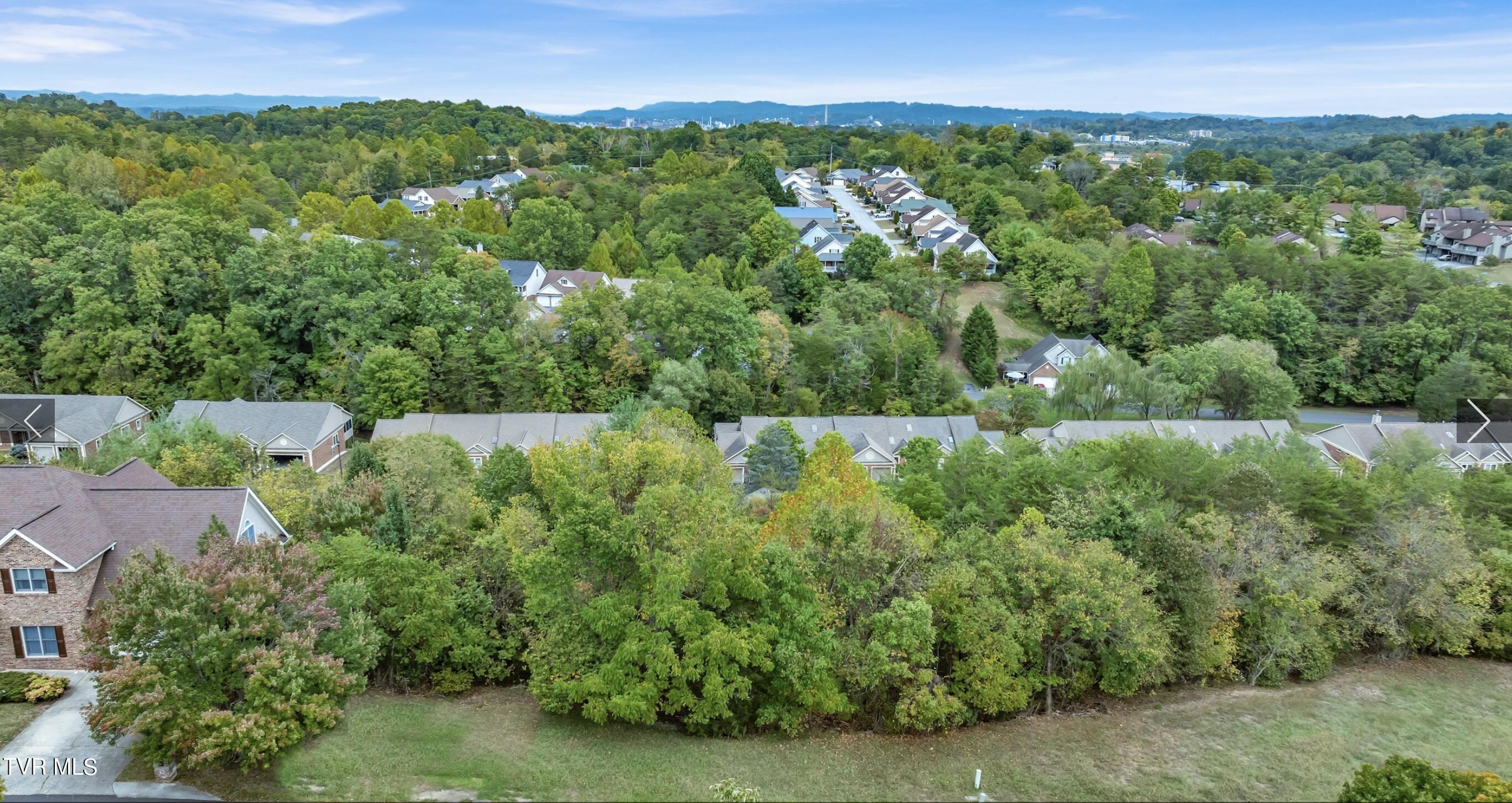 . Laurelwood Drive, Kingsport, Tennessee image 9