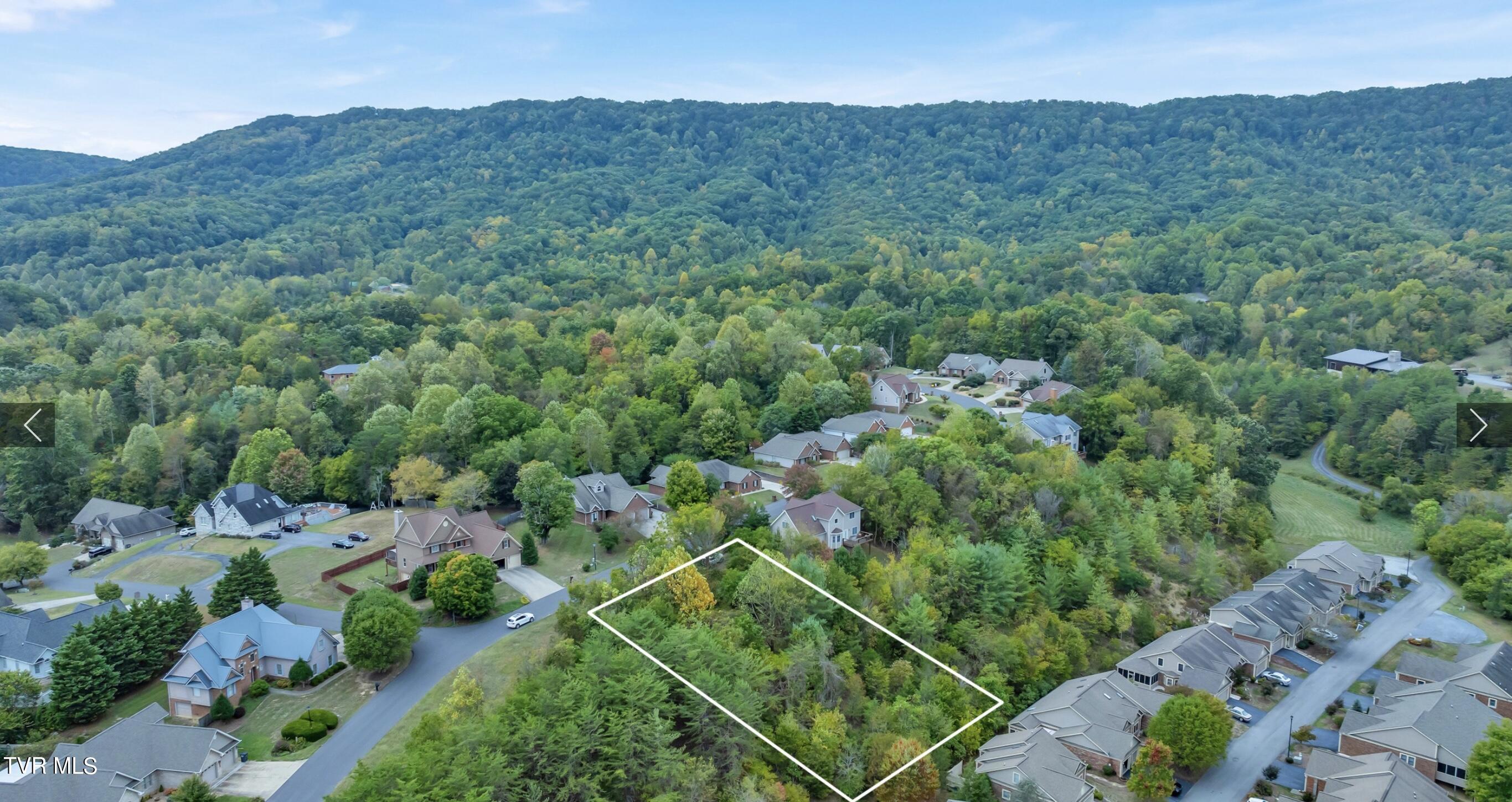 . Laurelwood Drive, Kingsport, Tennessee image 2