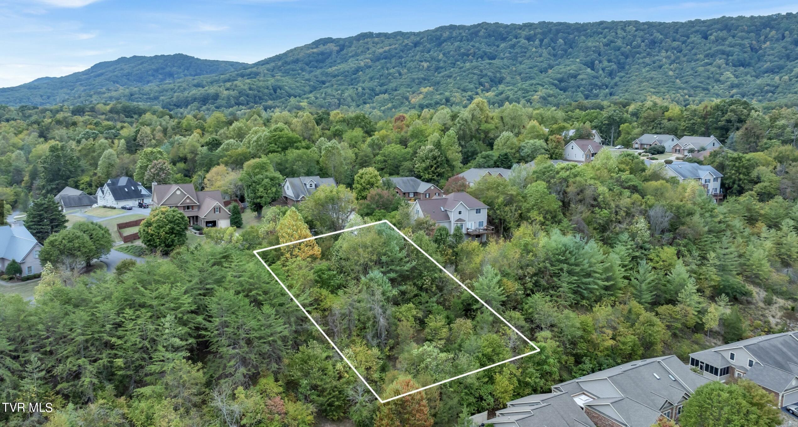 . Laurelwood Drive, Kingsport, Tennessee image 3