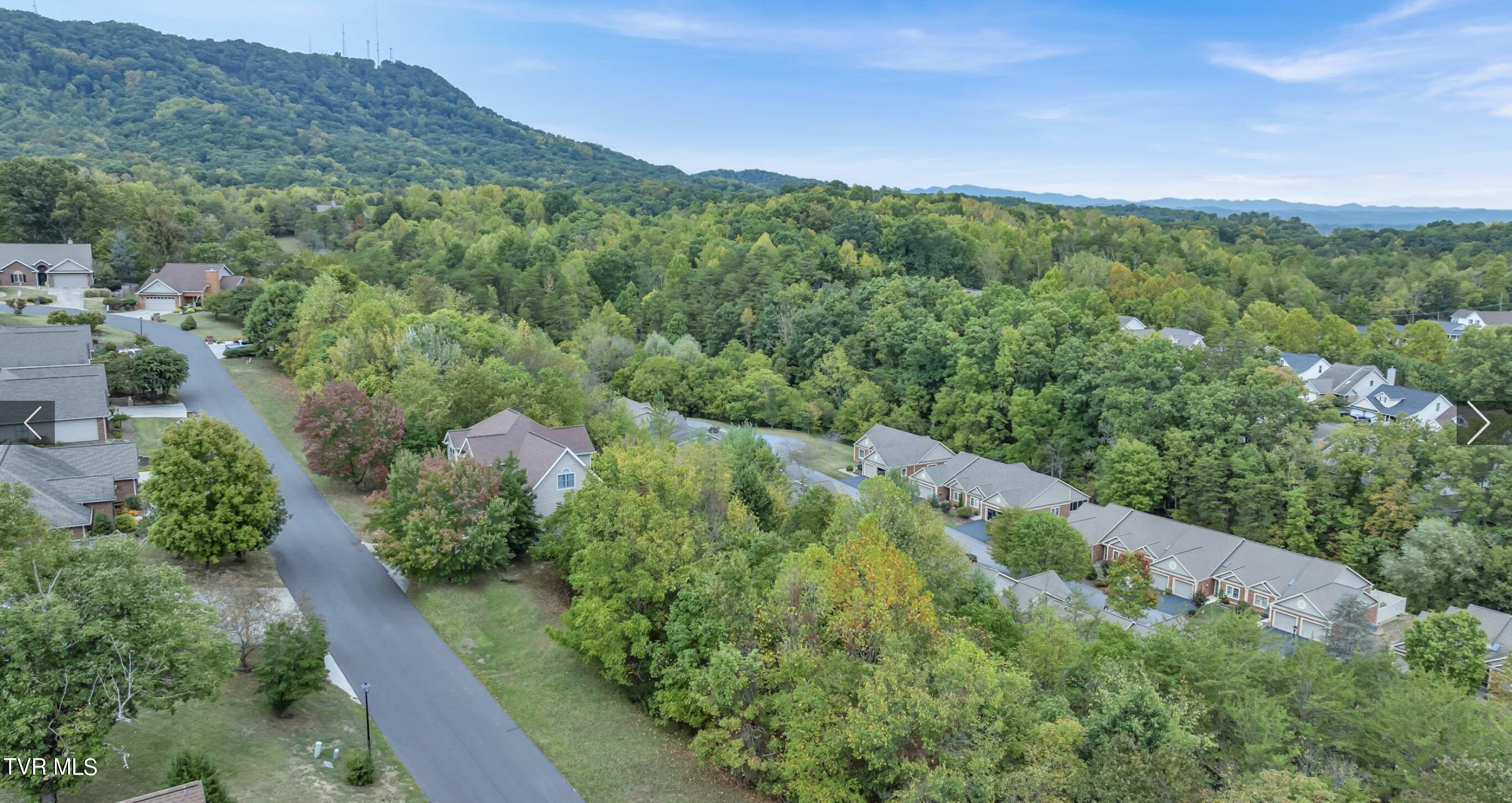 . Laurelwood Drive, Kingsport, Tennessee image 4