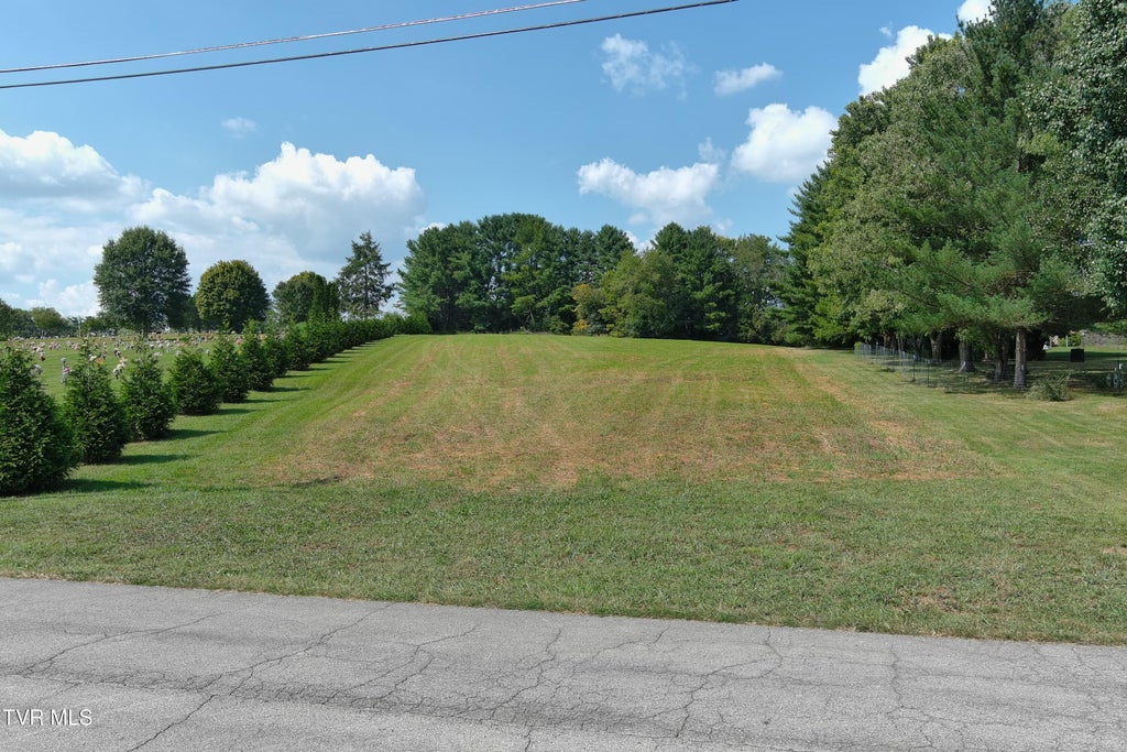 Photo of 30 Green Lawn Avenue, Greeneville, TN 37743 (MLS # 10000848)