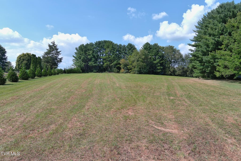 Photo of 30 Green Lawn Avenue, Greeneville, TN 37743 (MLS # 10000848)