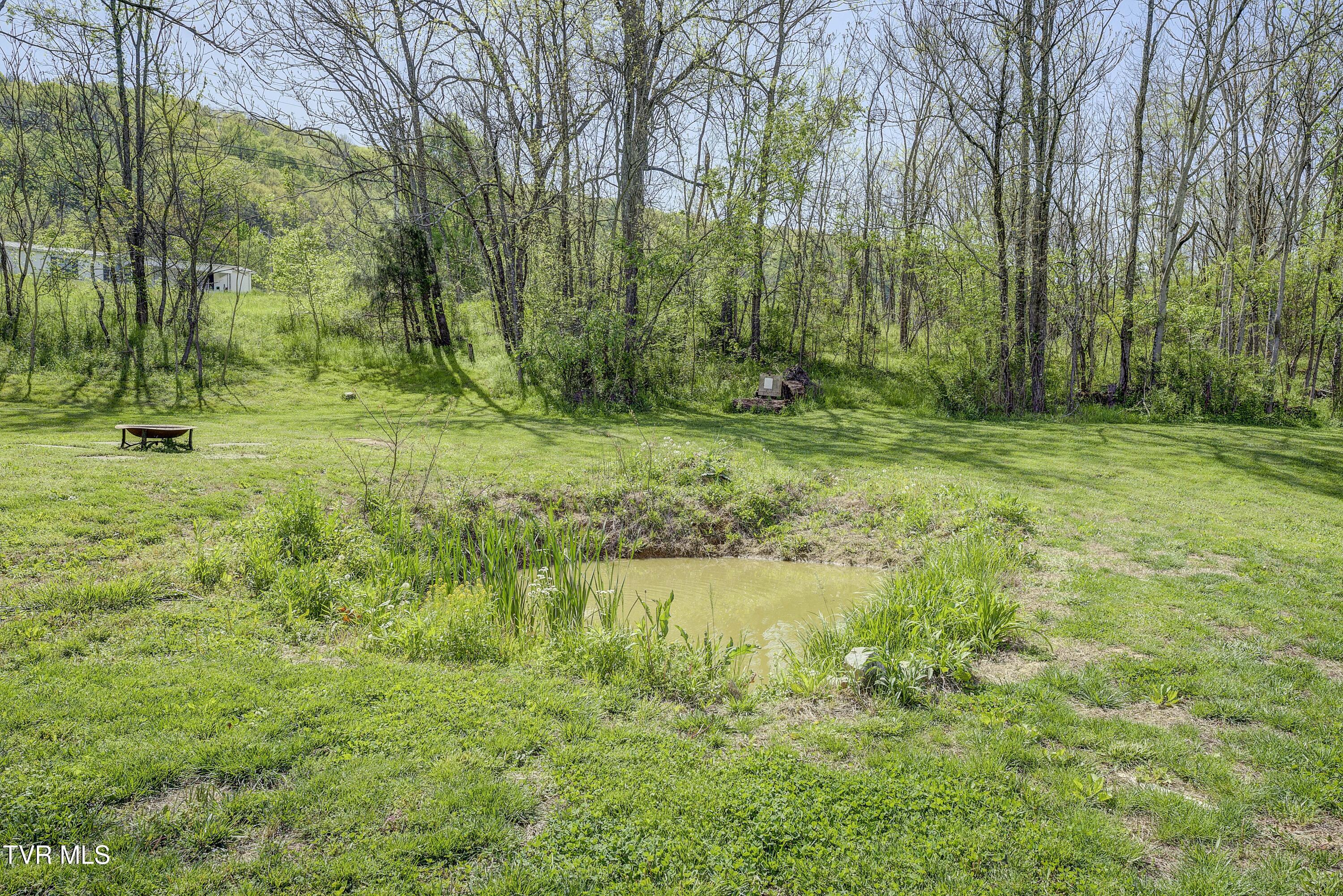 35 Doak Hensley Road, Afton, Tennessee image 46