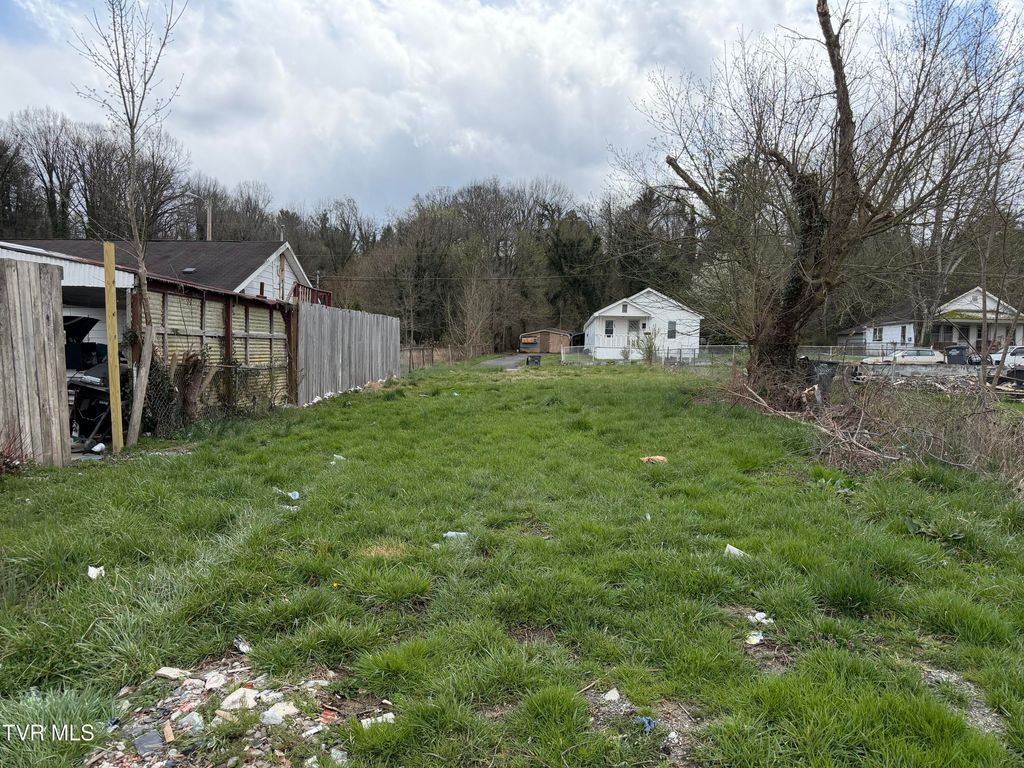 Photo of 1166 Dorothy Street, Kingsport, TN 37660 (MLS # 9992624)