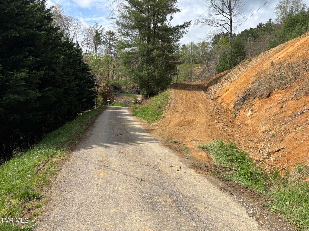 Photo of 347 Joe Wallace Road, Trade, TN 37691 (MLS # 10000080)