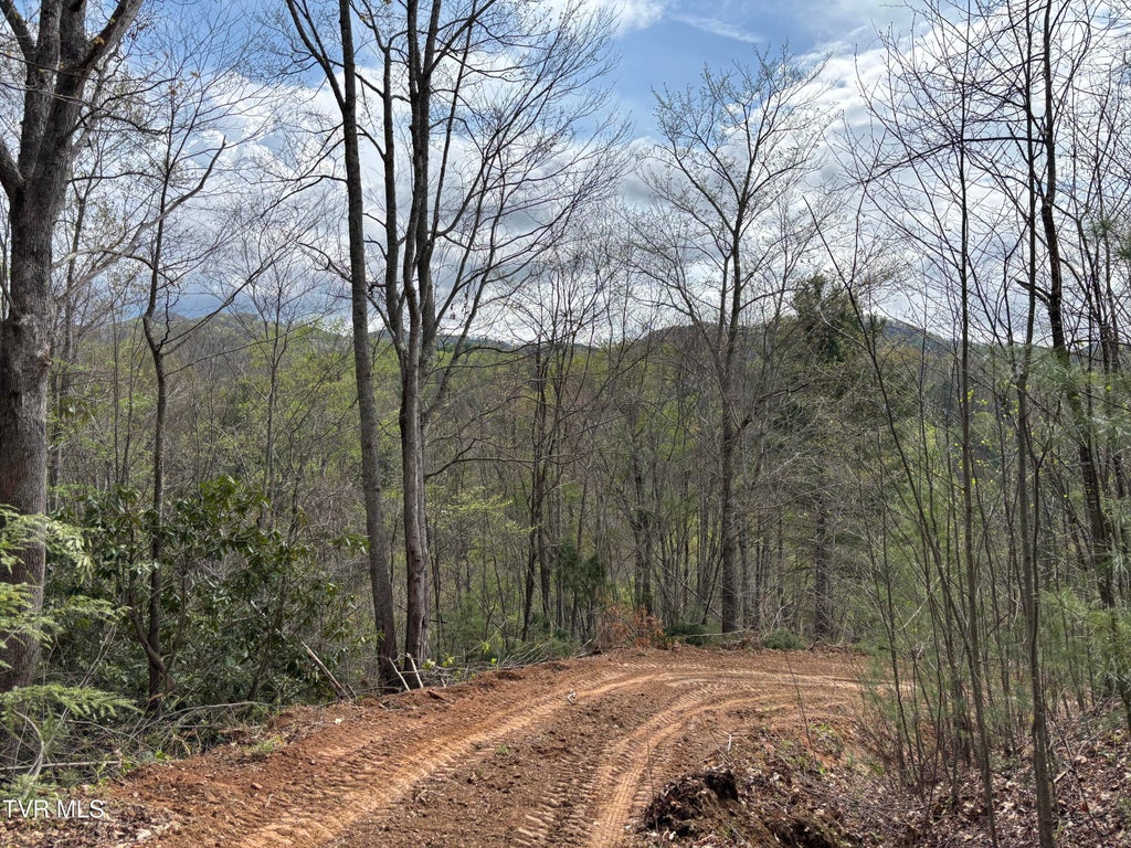 Photo of 347 Joe Wallace Road, Trade, TN 37691 (MLS # 10000080)