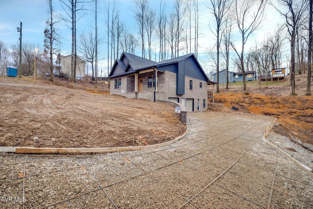 Photo of 119 Victor Drive, Johnson City, TN 37601 (MLS # 9991647)