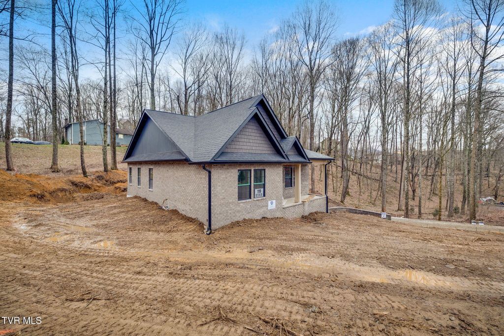 Photo of 119 Victor Drive, Johnson City, TN 37601 (MLS # 9991647)