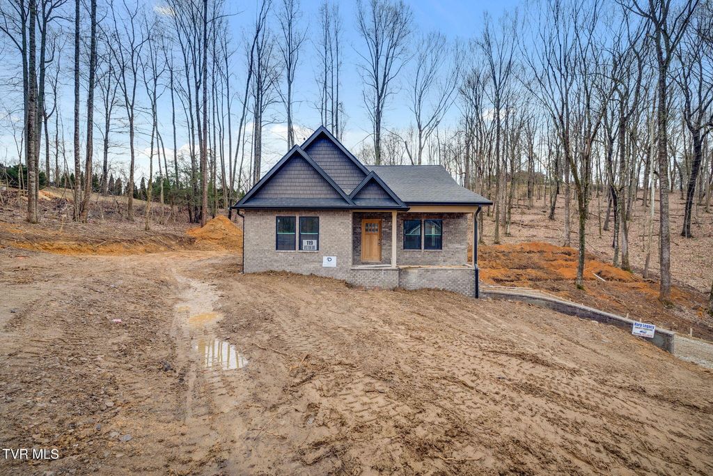 Photo of 119 Victor Drive, Johnson City, TN 37601 (MLS # 9991647)